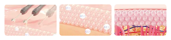 閃耀雙星EVE