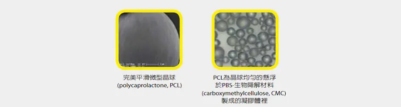 台中洢蓮絲2m