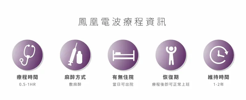 台中FLX鳳凰電波5m