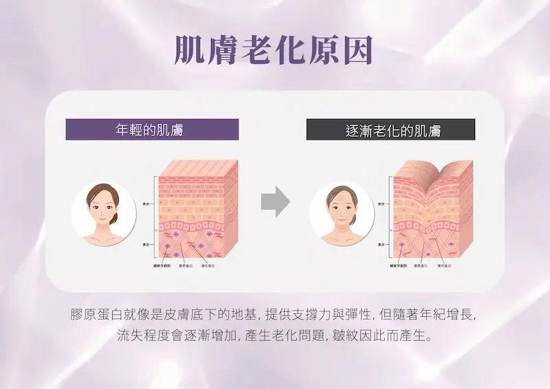 台中Oligio玩美電波