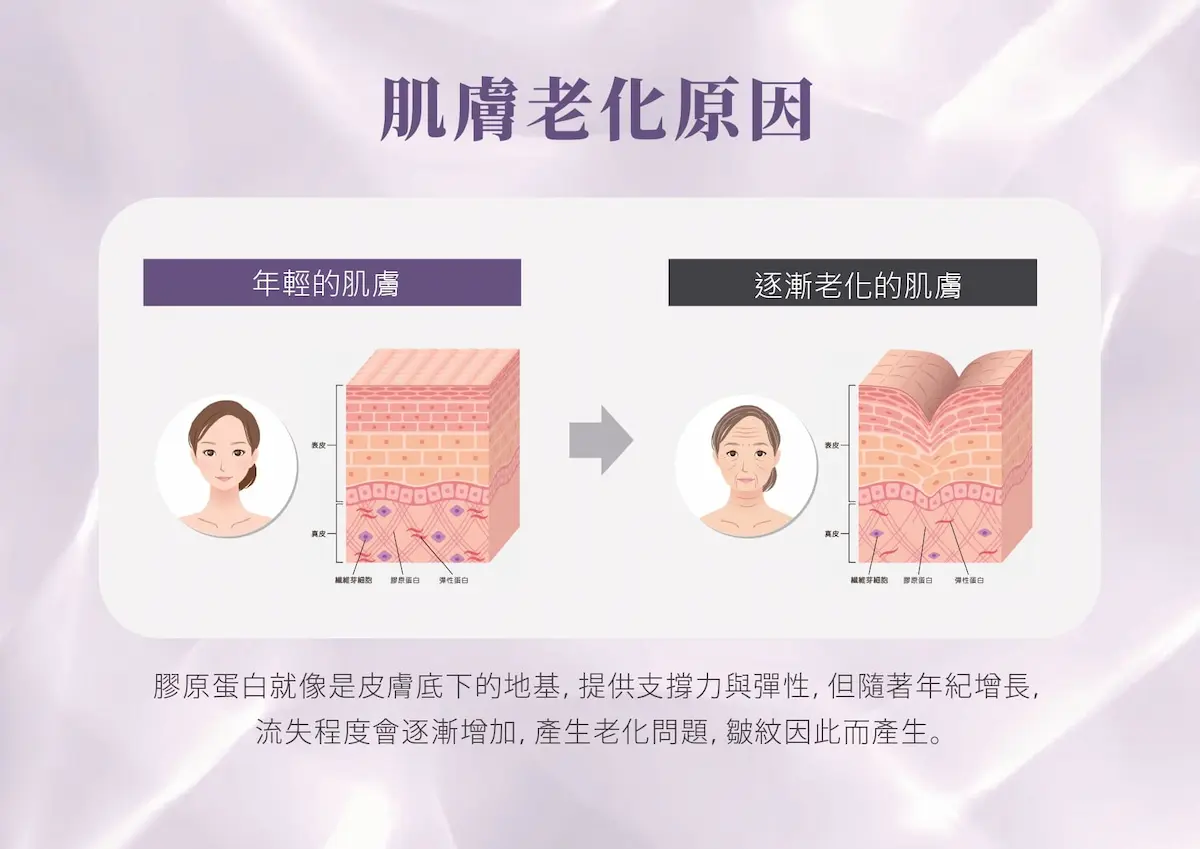 Oligio玩美電波